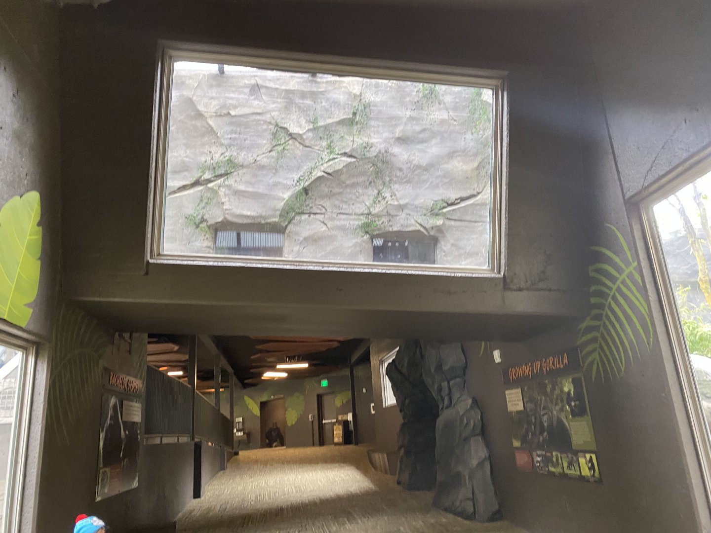 Hubbard Gorilla Valley - Overhead Transfer Chute