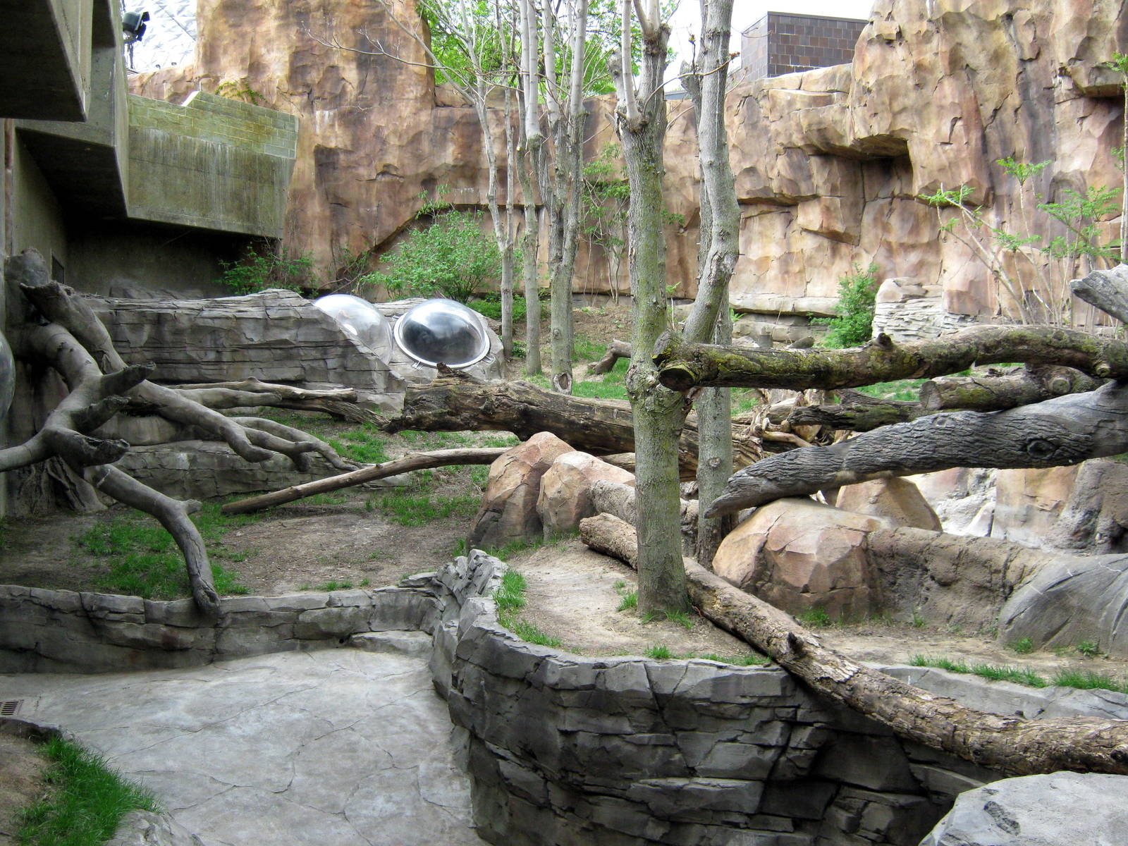 Hubbard Gorilla Valley