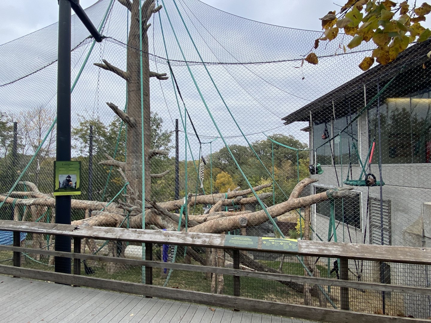 Hubbard Orangutan Forest - Bornean Orangutan/Siamang Exhibit