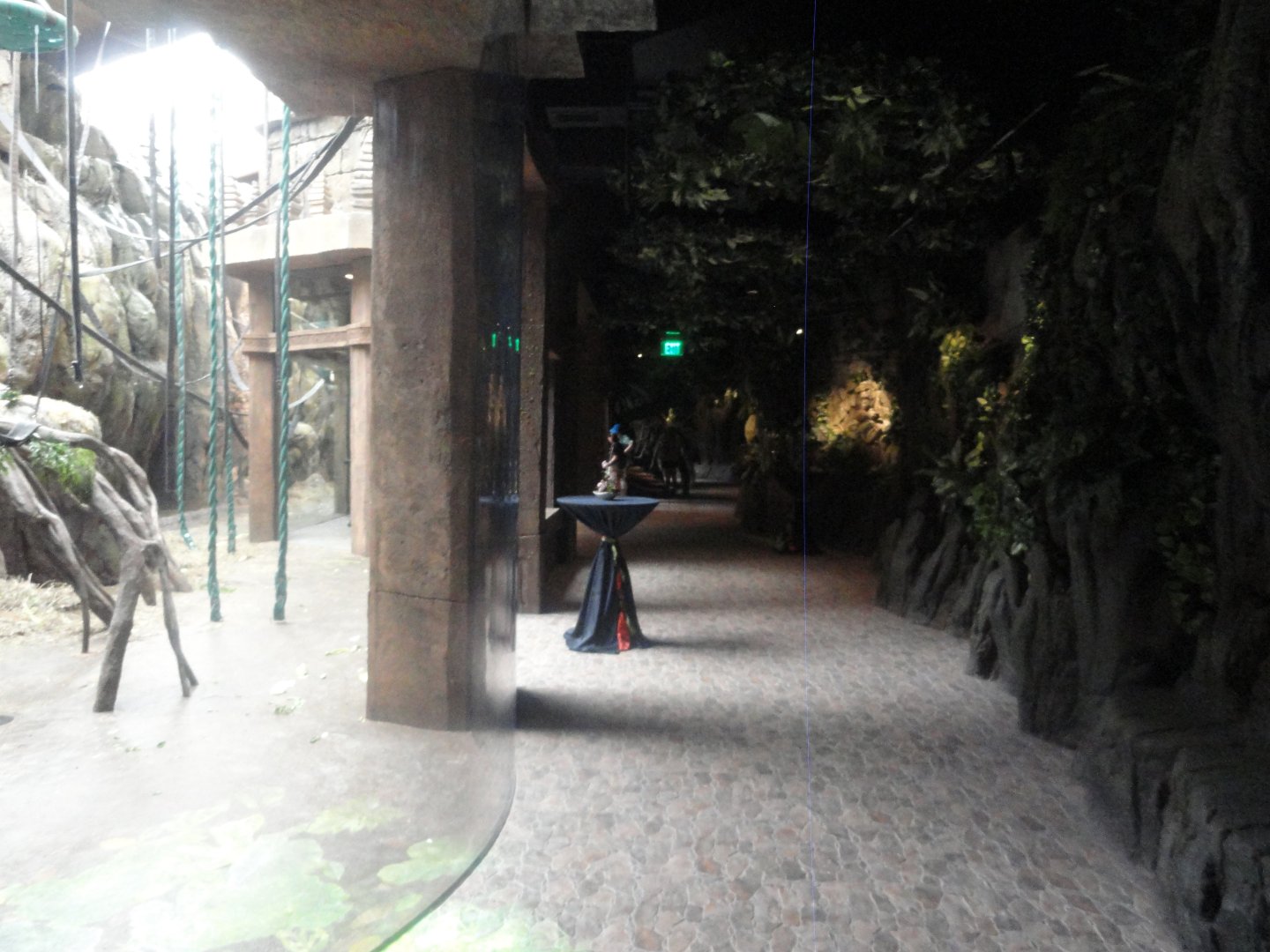 Hubbard Orangutan Forest Indoor Hallway Example