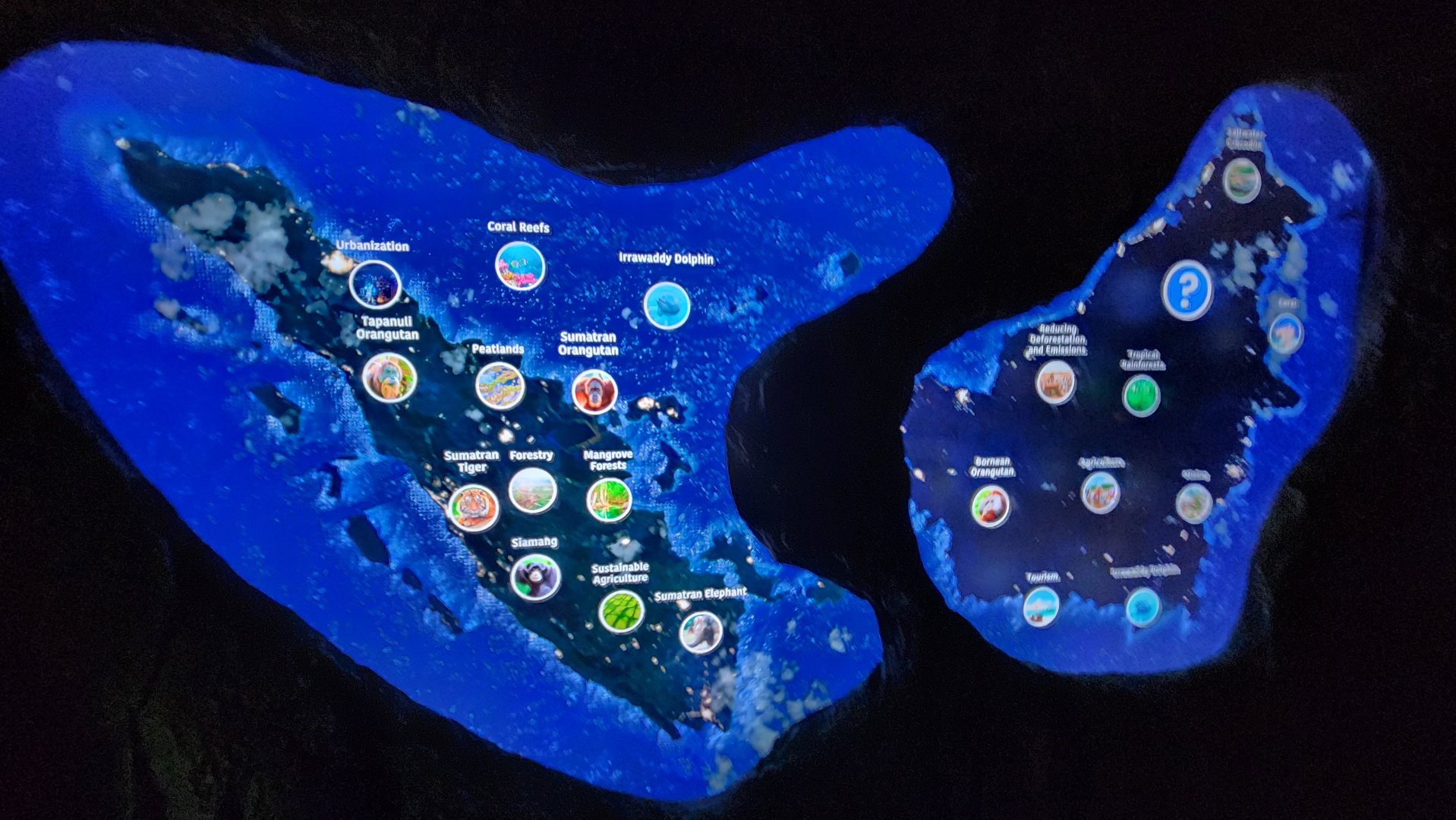 Hubbard Orangutan Forest