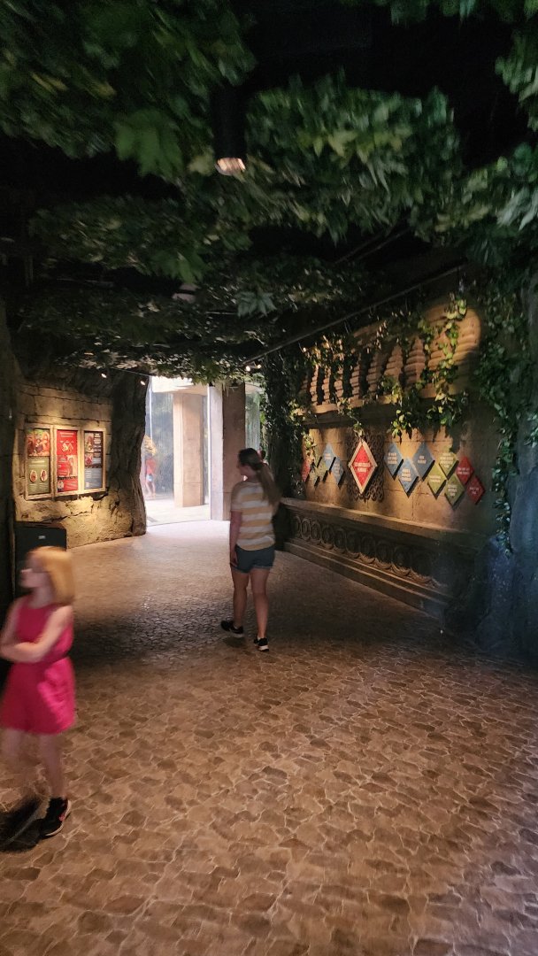 Hubbard Orangutan Forest