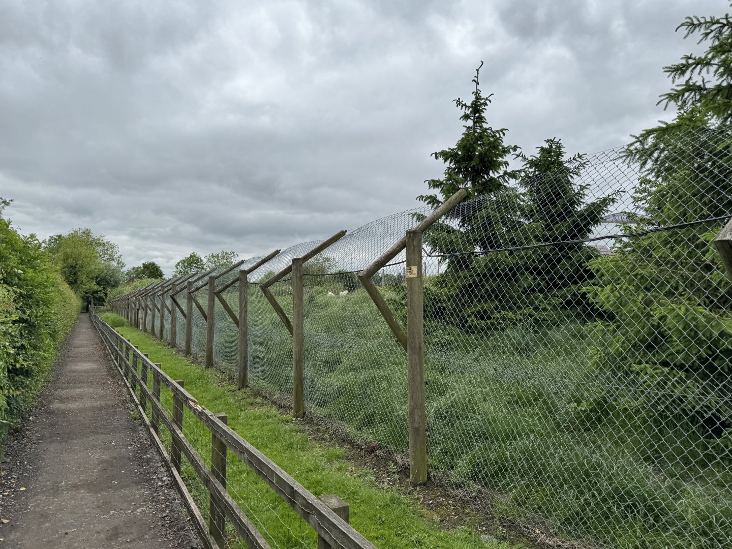 Hudson Bay Wolf Enclosure at Woodside Wildlife Park (May 2024)