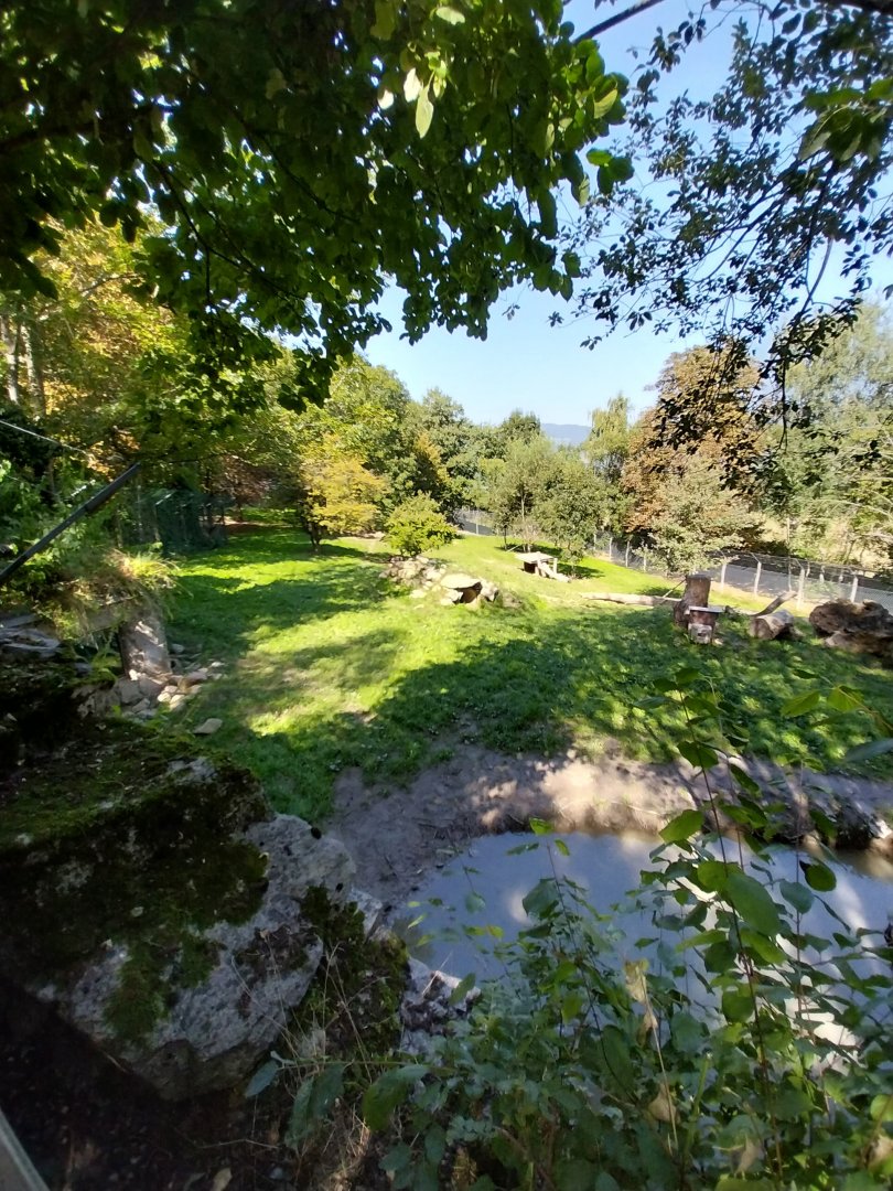 Hudson Bay wolf enclosure