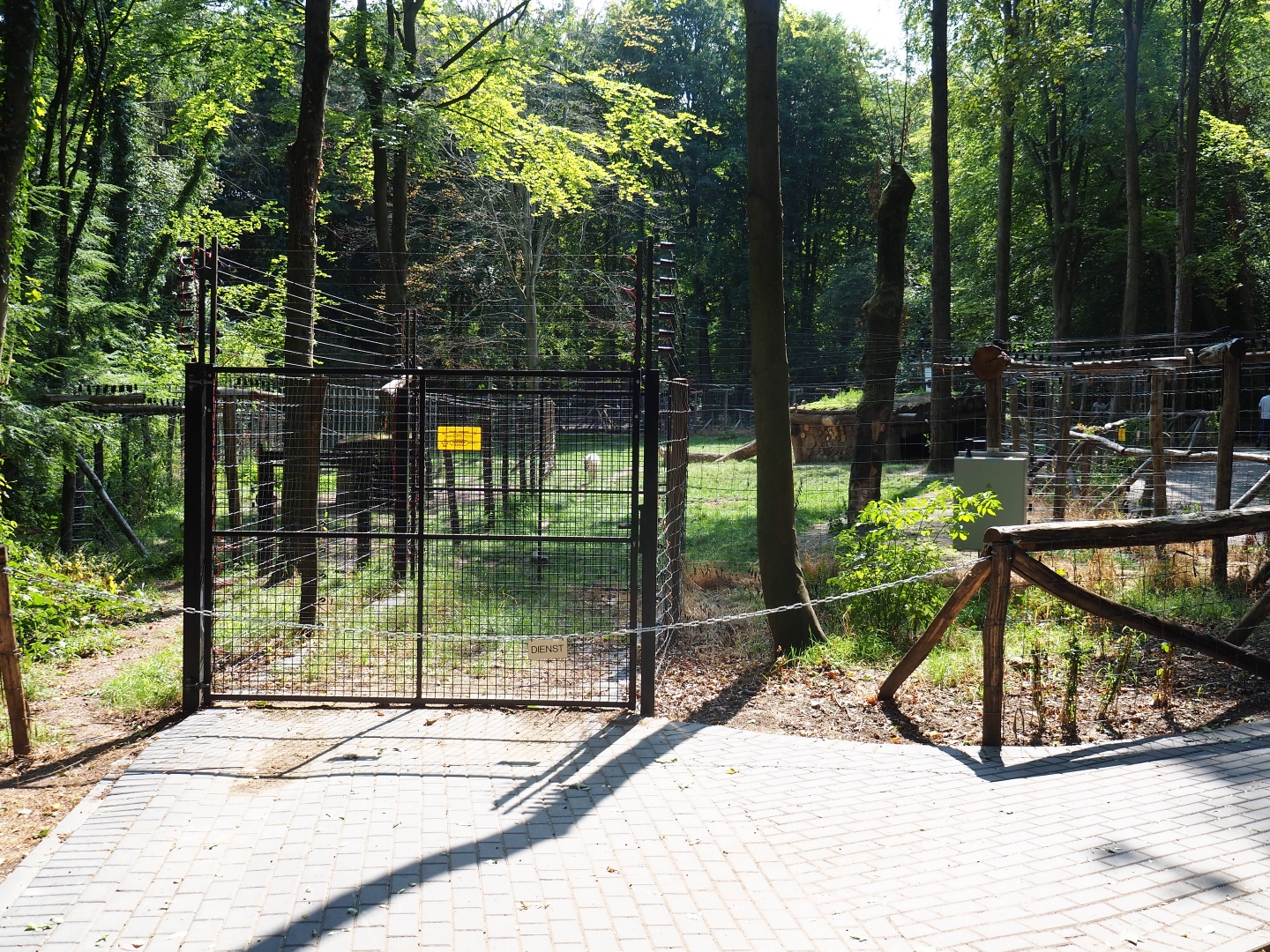 Hudson Bay wolf exhibit (Aug 28th, 2018)