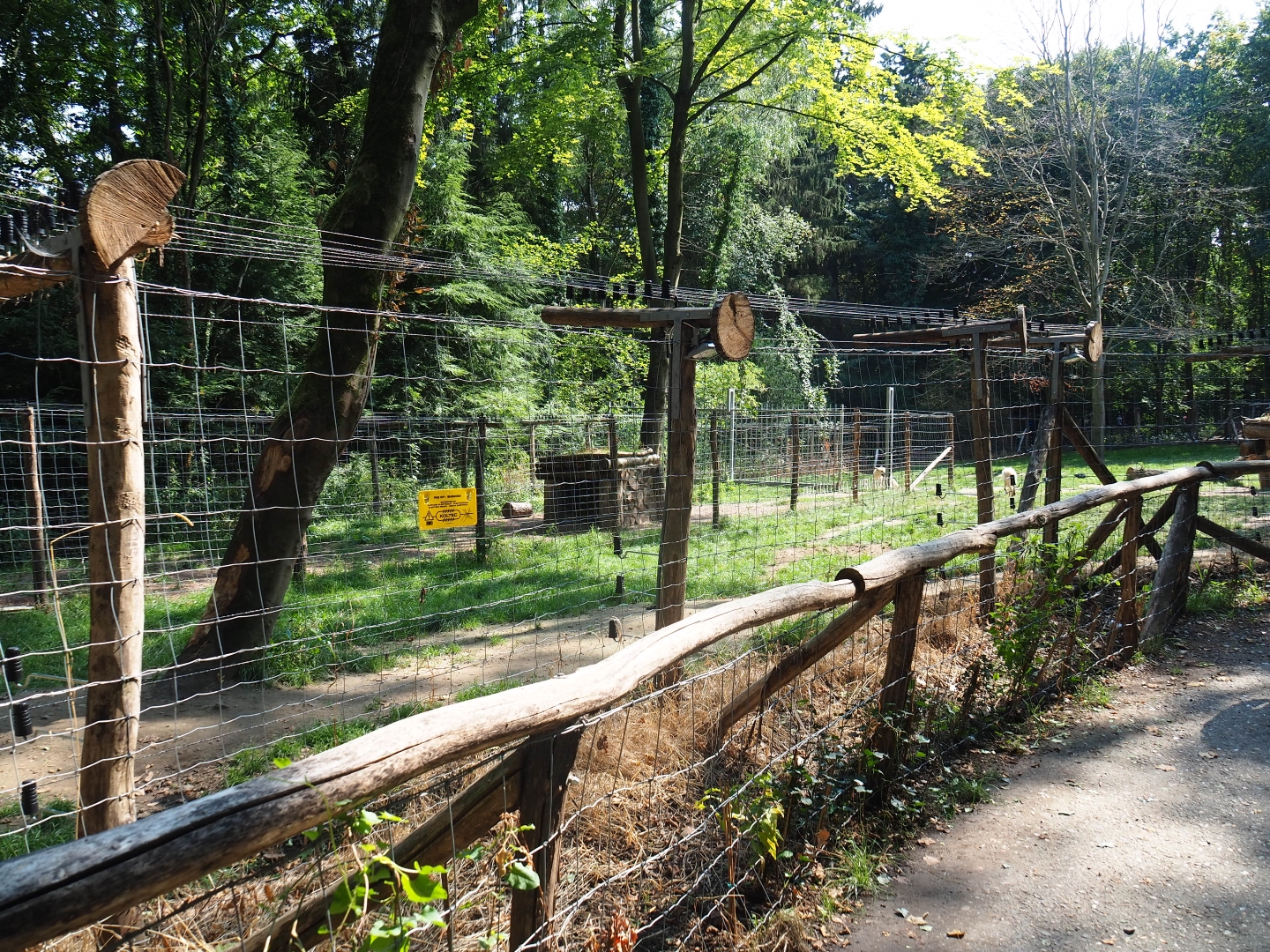 Hudson Bay wolf exhibit (Aug 28th, 2018)