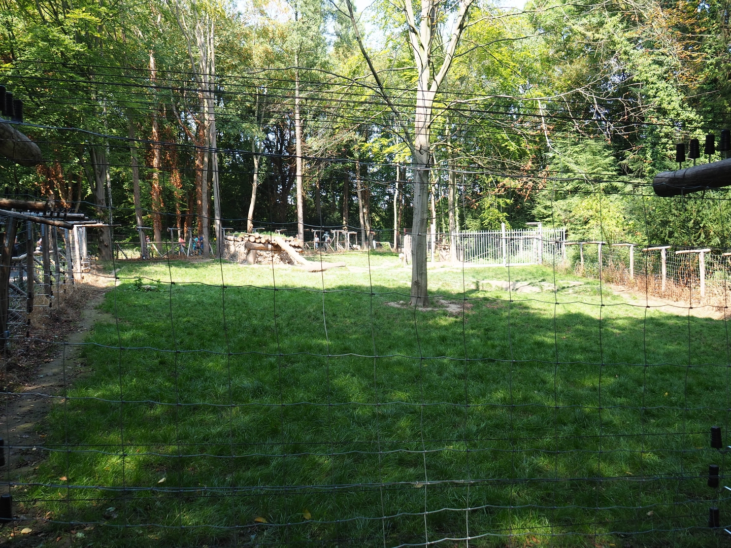 Hudson Bay wolf exhibit (Aug 28th, 2018)