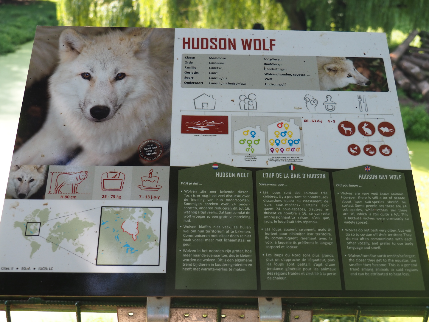 Hudson Bay wolf signage, 2019-08-04
