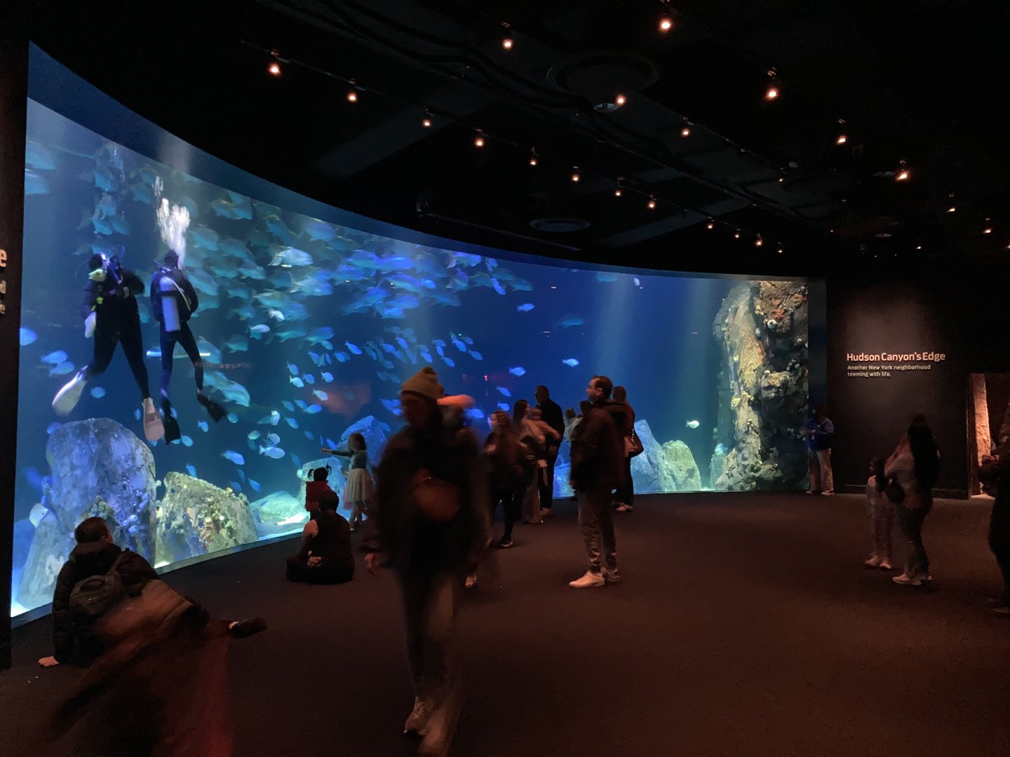 Hudson Canyon Edge (in Ocean Wonders: Sharks)