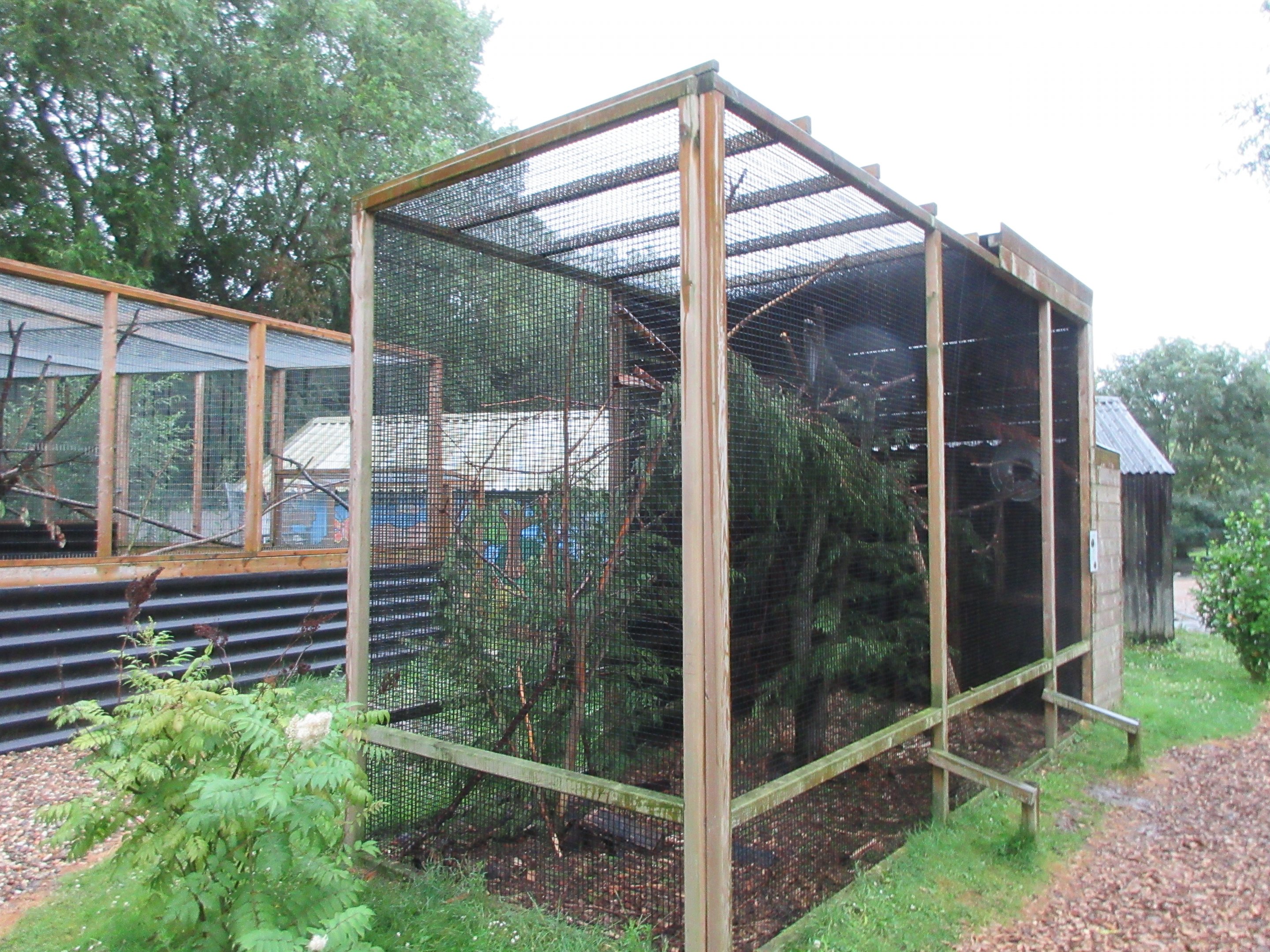 Hudson Squirrel Exhibit