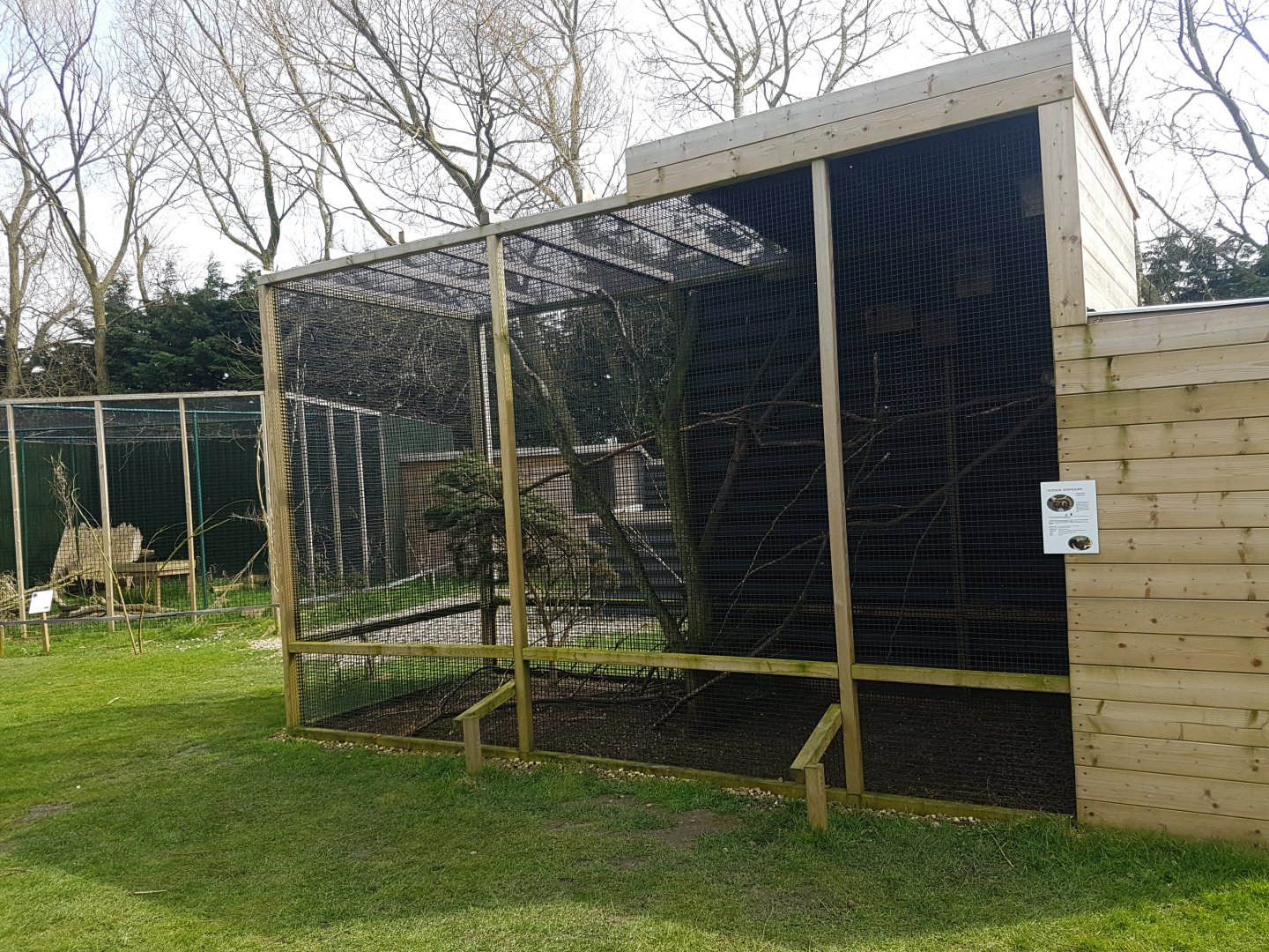 Hudson's squirrel enclosure