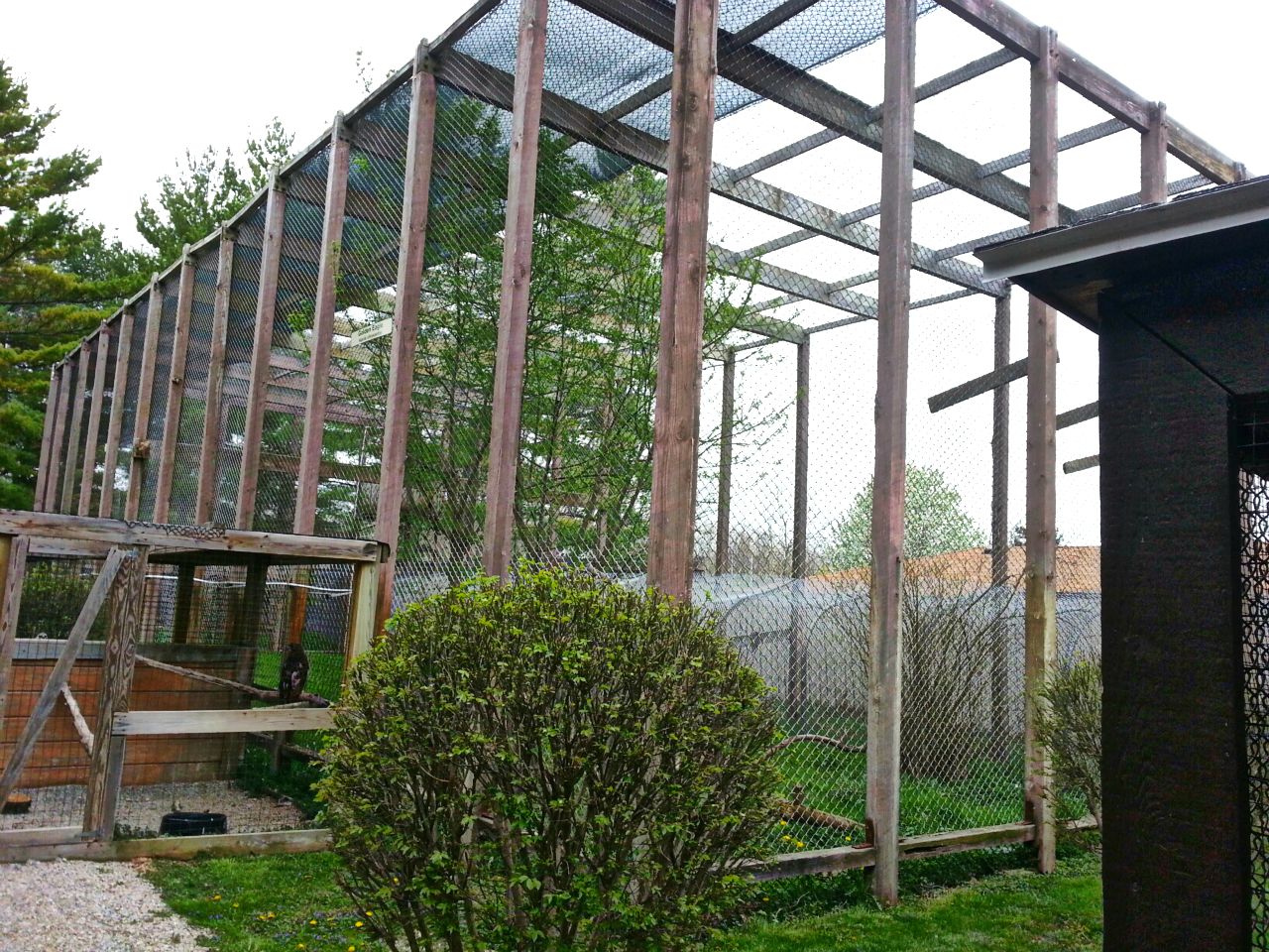 Hueston Woods Nature Center - Bald + Golden Eagle Exhibit