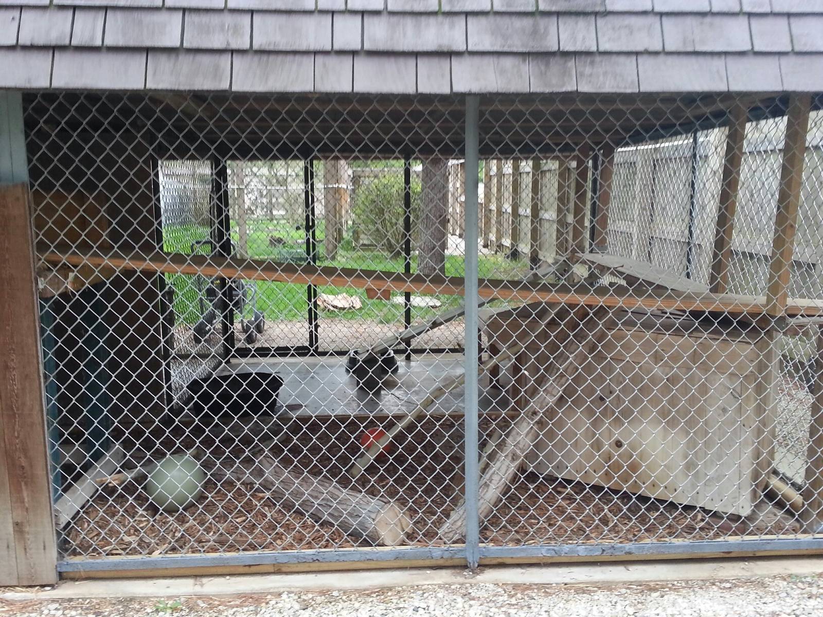 Hueston Woods Nature Center - Bobcat Exhibit 1