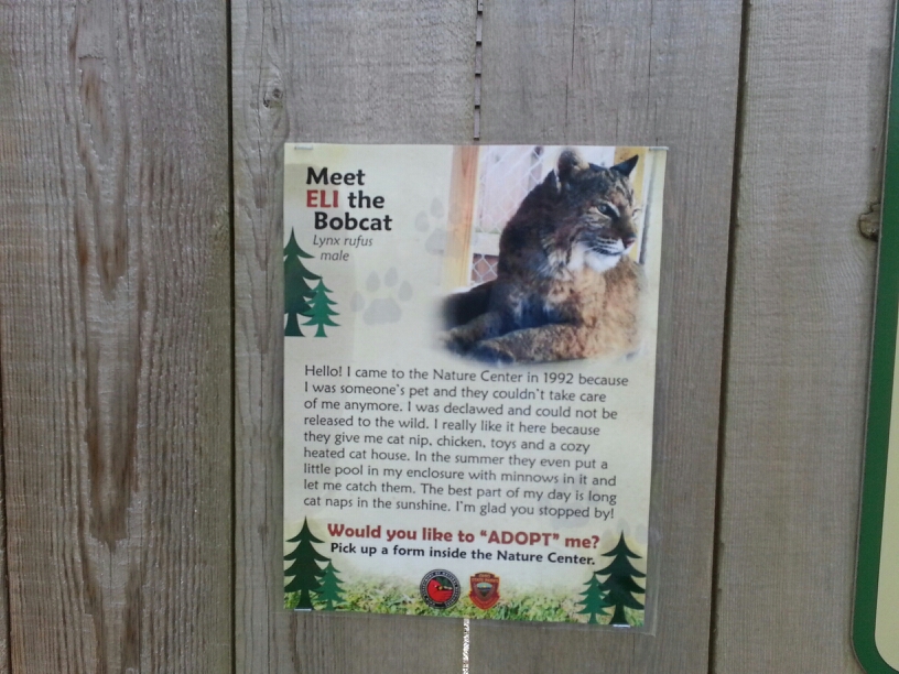 Hueston Woods Nature Center - Bobcat Sign