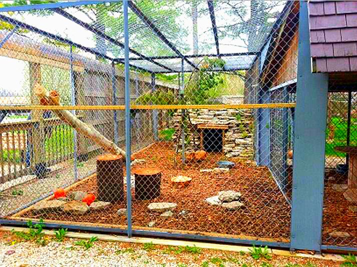 Hueston Woods Nature Center - Cougar Exhibit 2