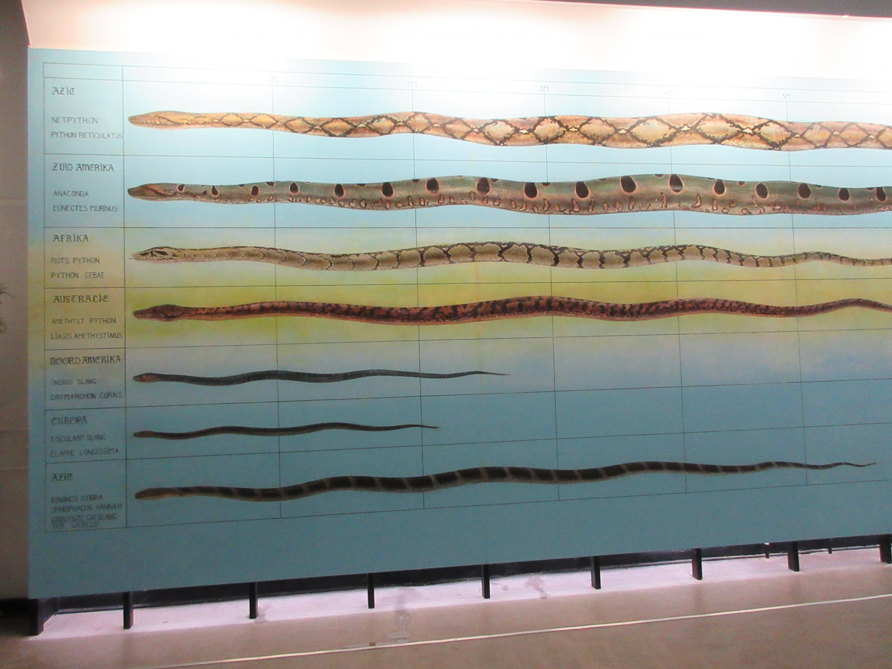 Huge, 20-foot high snake sign