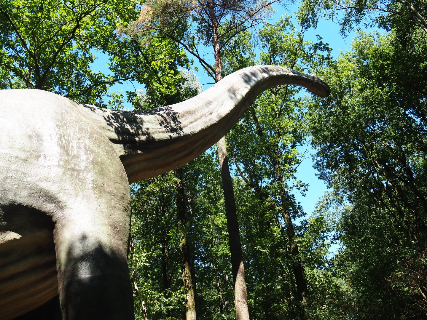Huge Brachiosaurus model