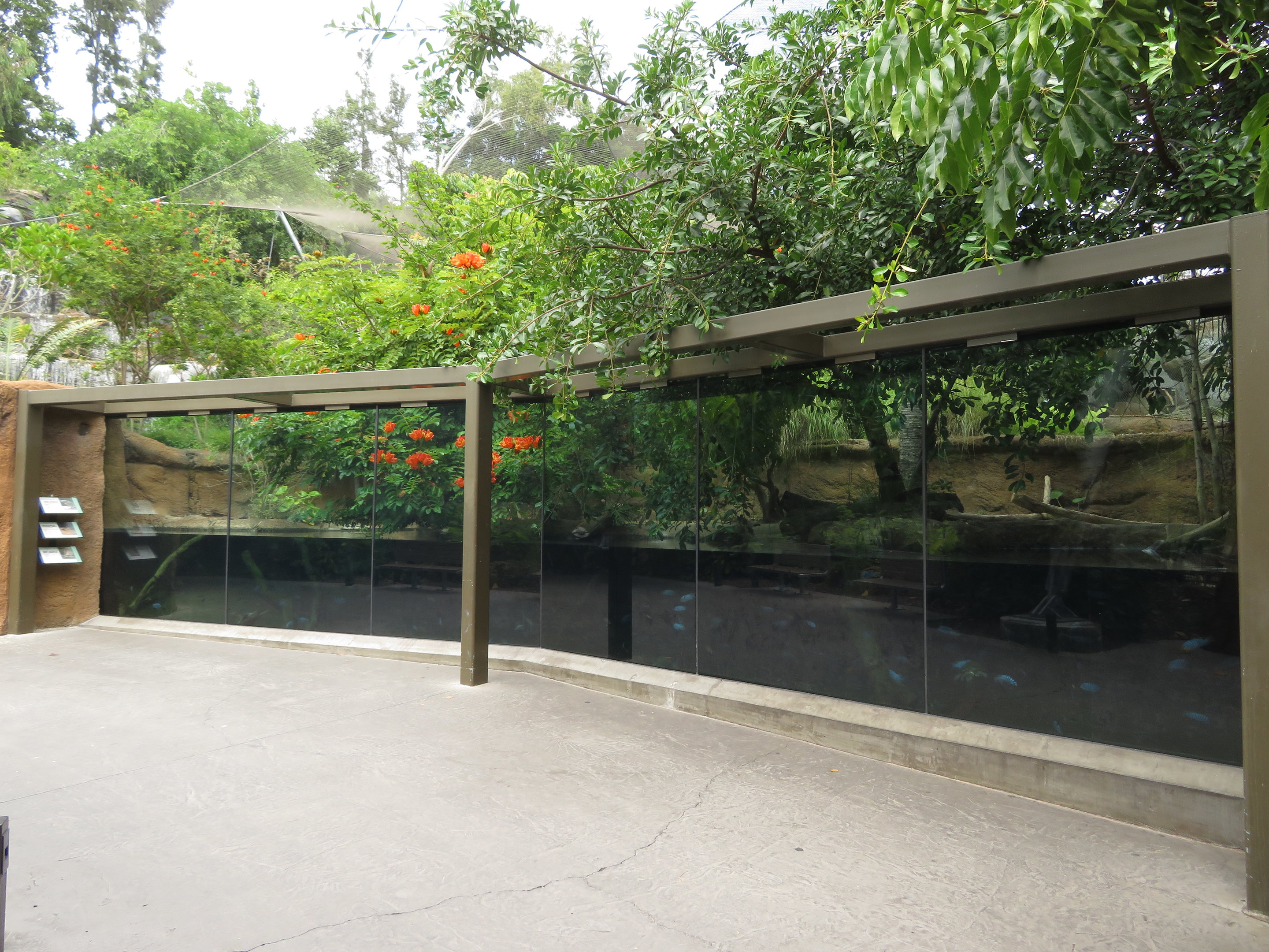 Huge Dwarf Crocodile/Turtle Exhibit