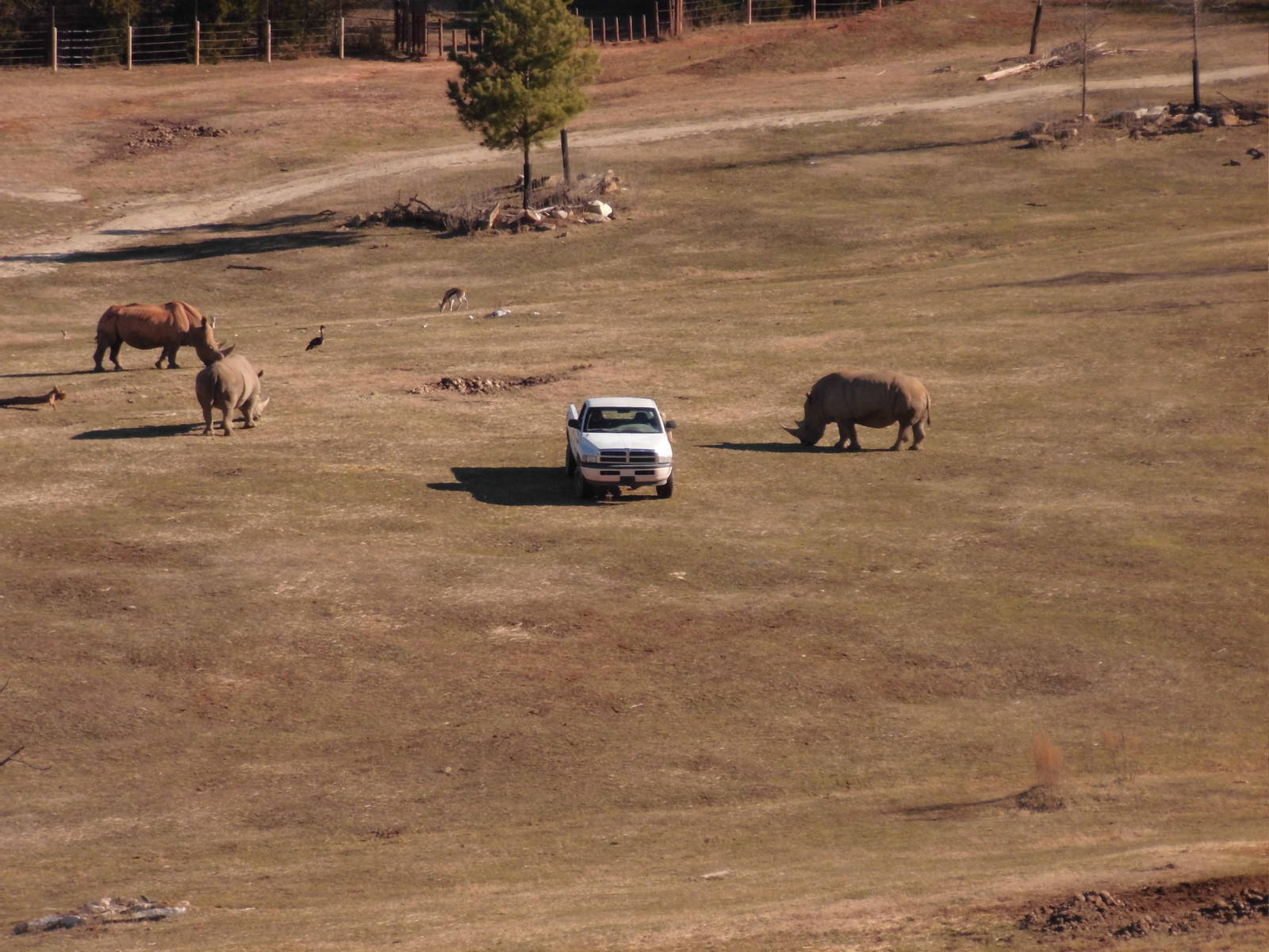 Huge exhibition area at North carolina zoo 2015-1-19