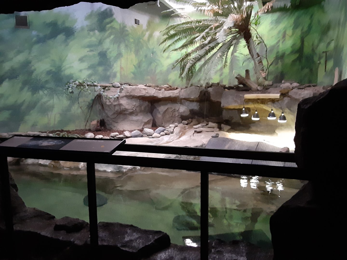 Huge Habitat for Some Huge Turtles