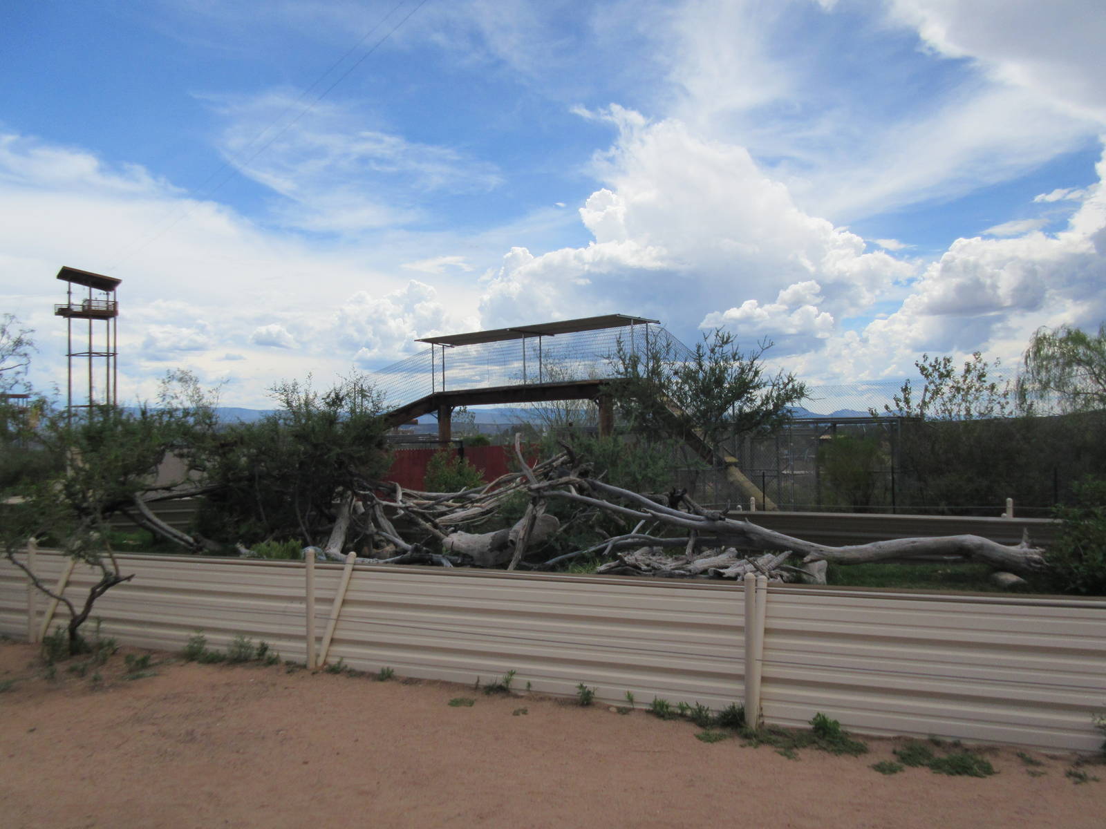 Huge Lizard Exhibit (with probably a dozen different species)