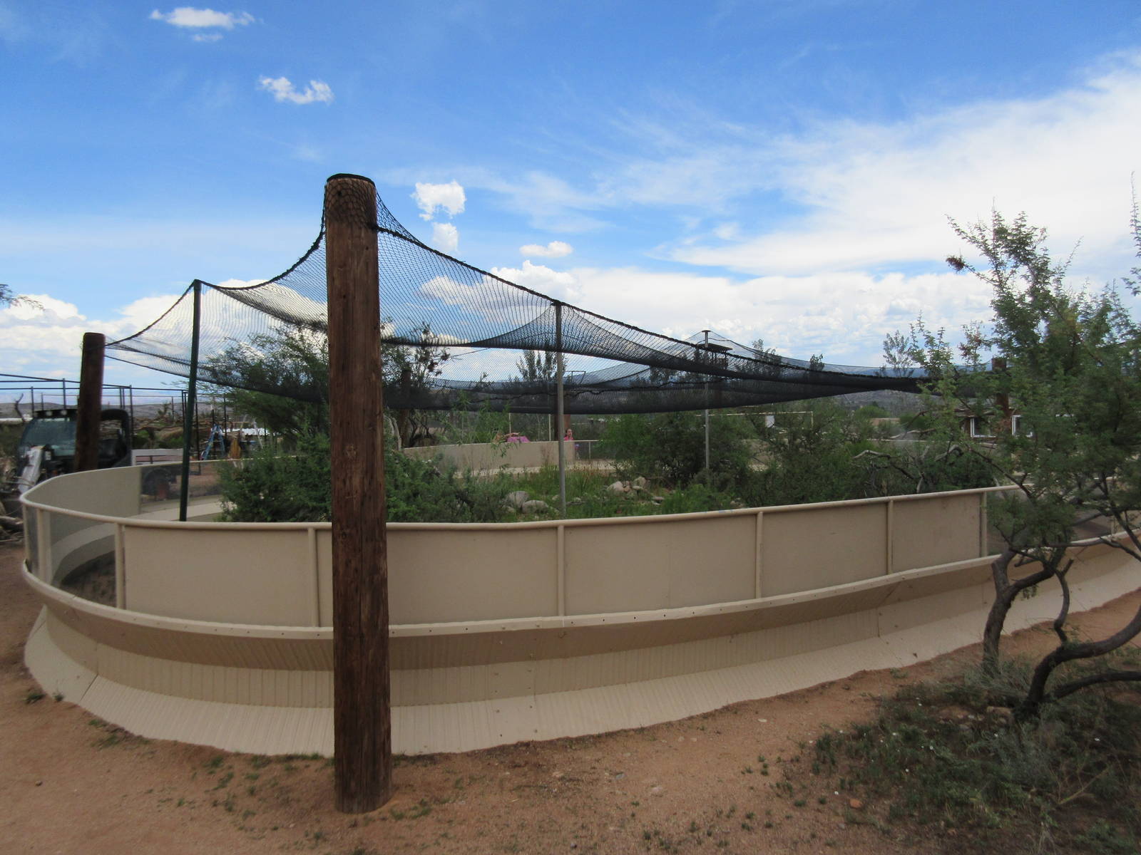 Huge Lizard Exhibit (with probably a dozen different species)