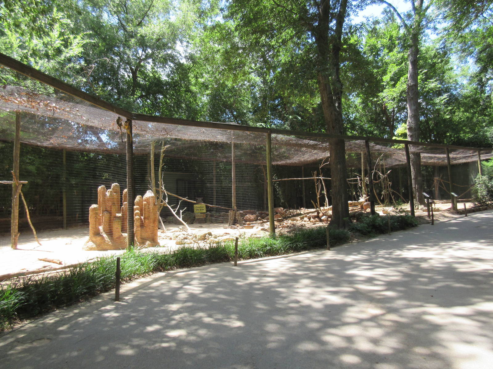 Huge South American Exhibit (6 Species)