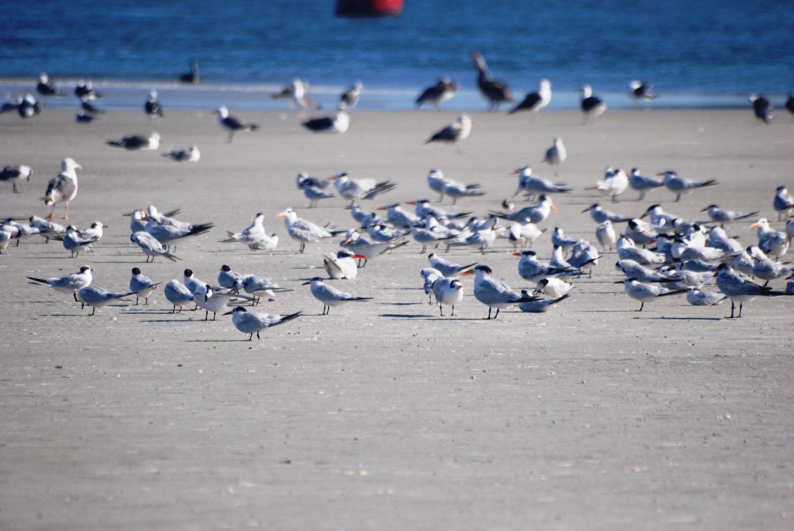 Huguenot Memorial Park, October 2013