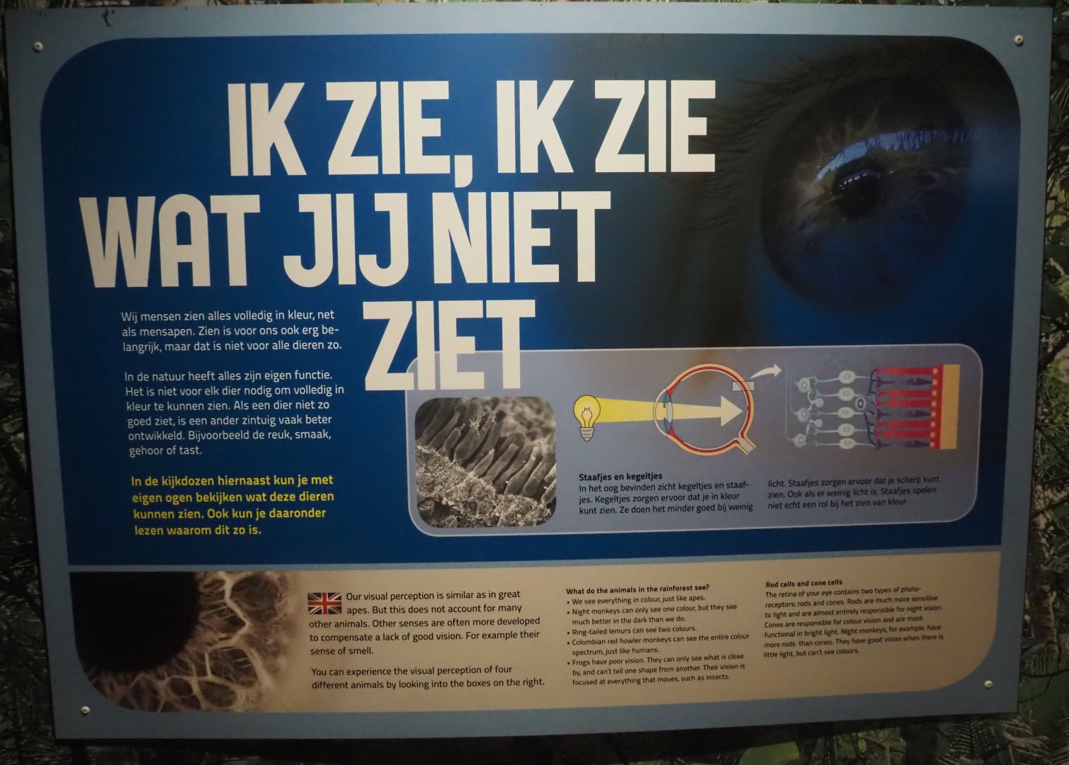 Human and animal sight signage, 2024-08-18