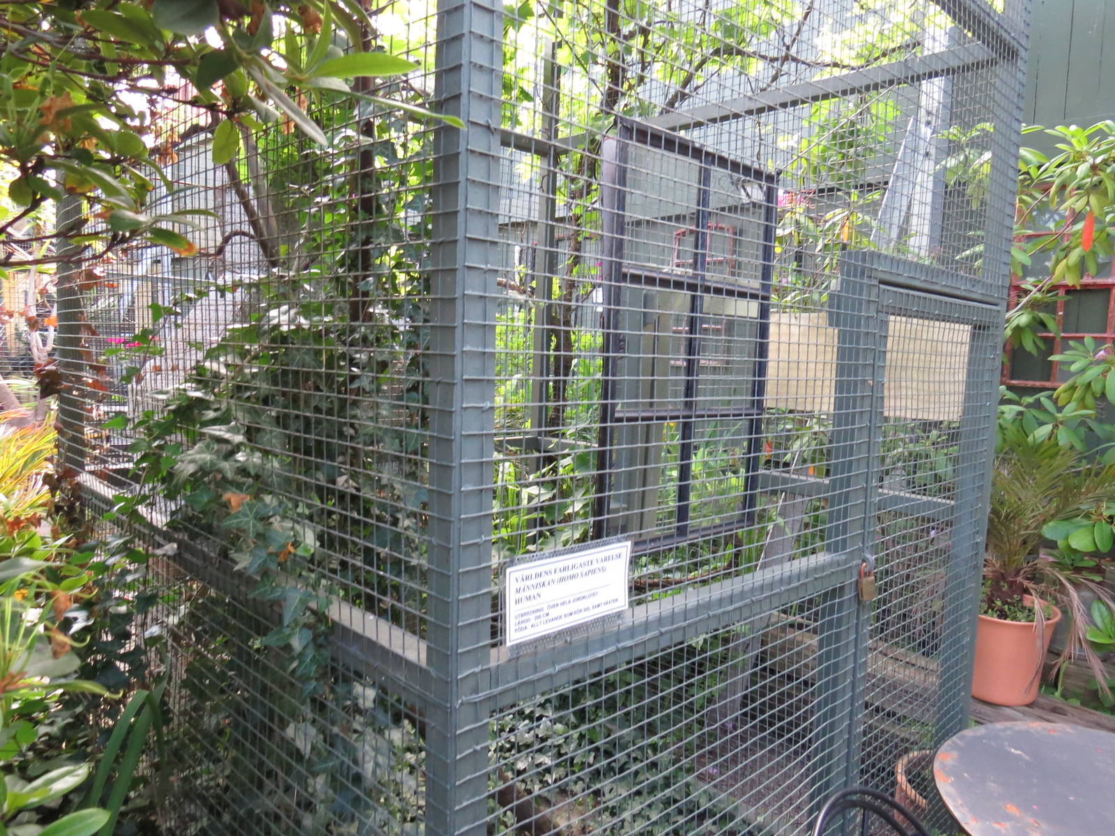 Human enclosure, June 2015