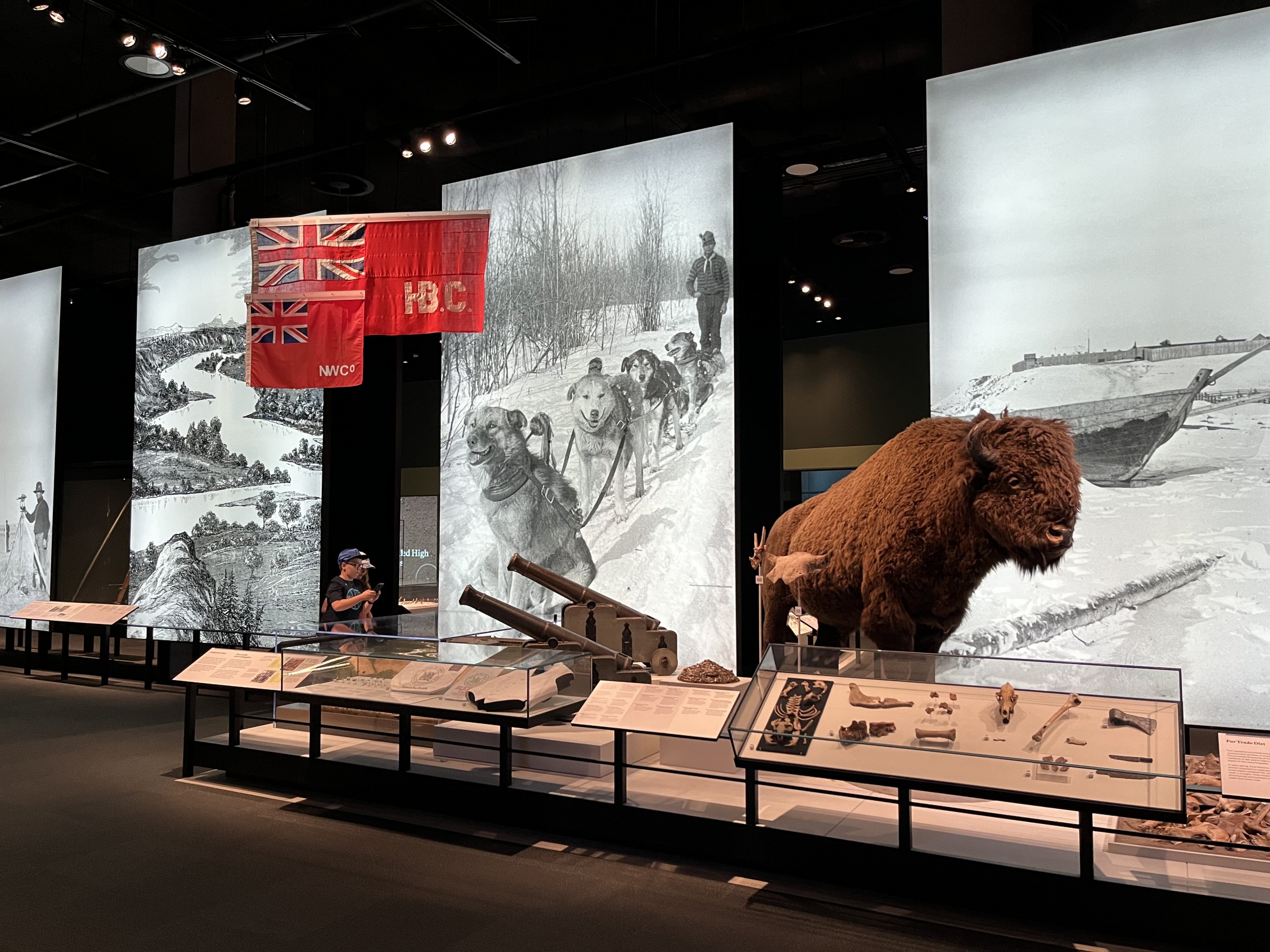 Human History Gallery