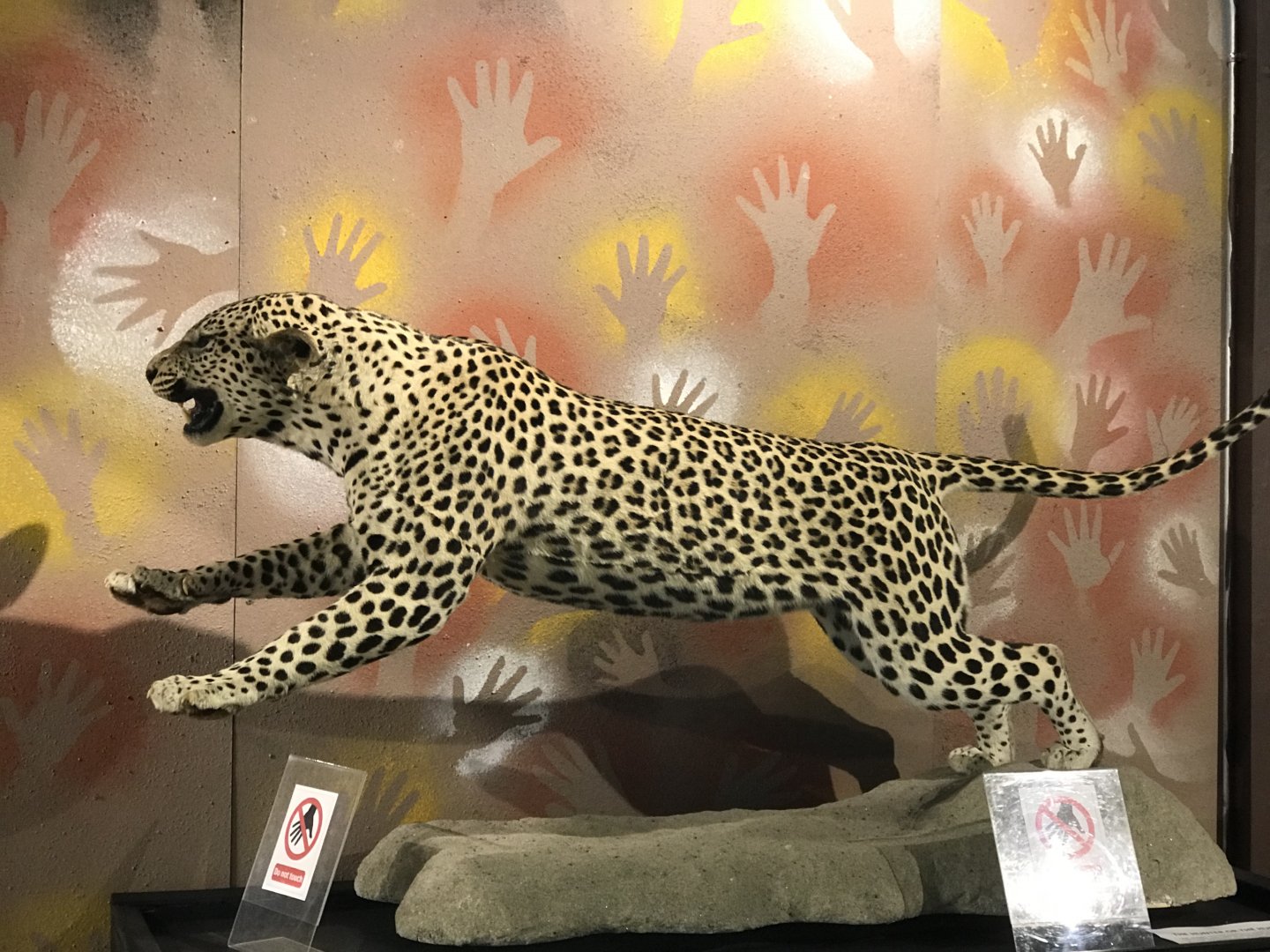 Humankind declares “I Am”