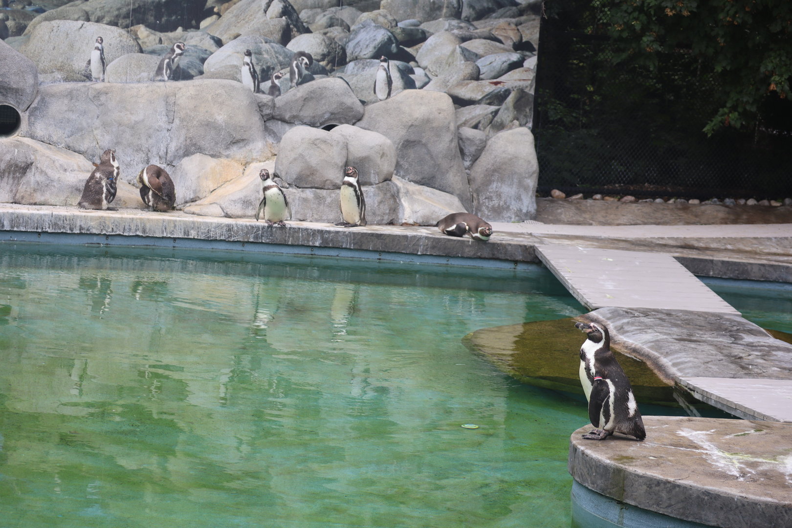 Humboldt Coast Exhibit