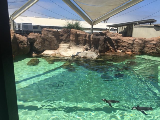 Humboldt Exhibit 1/4