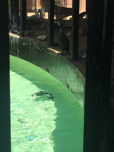 Humboldt Exhibit 2/4