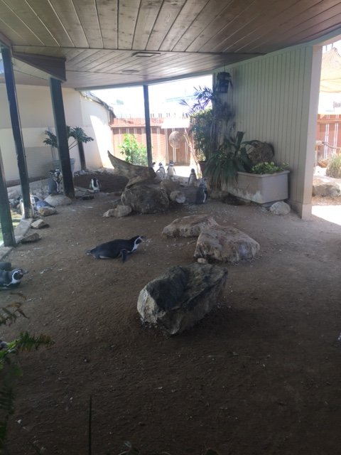 Humboldt Exhibit 4/4