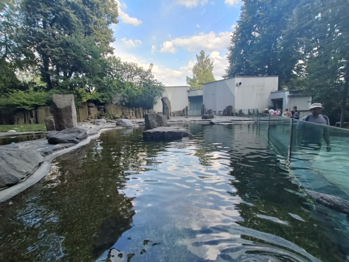 Humboldt Penguin and Fuegian Steamer Duck pool - Penguin Pavilion