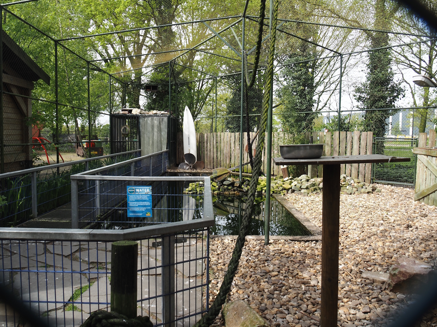 Humboldt penguin and Inca tern aviary, 2024-04-14