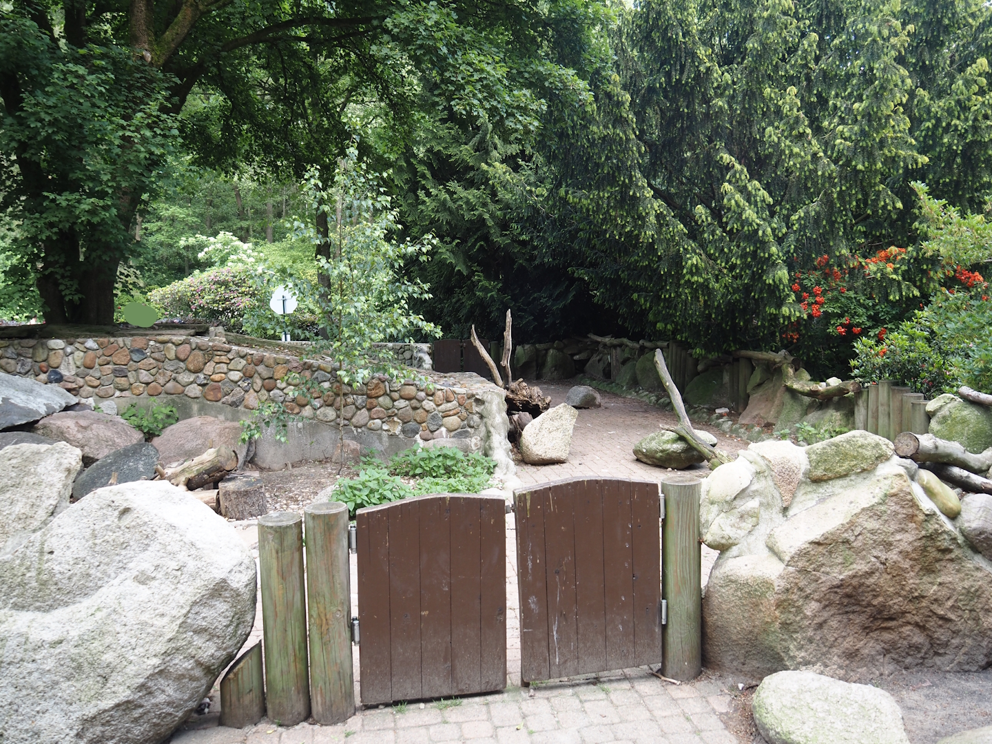 Humboldt penguin and Magellanic flightless steamer duck exhibit - Connecting area between two sections, 2024-05-23