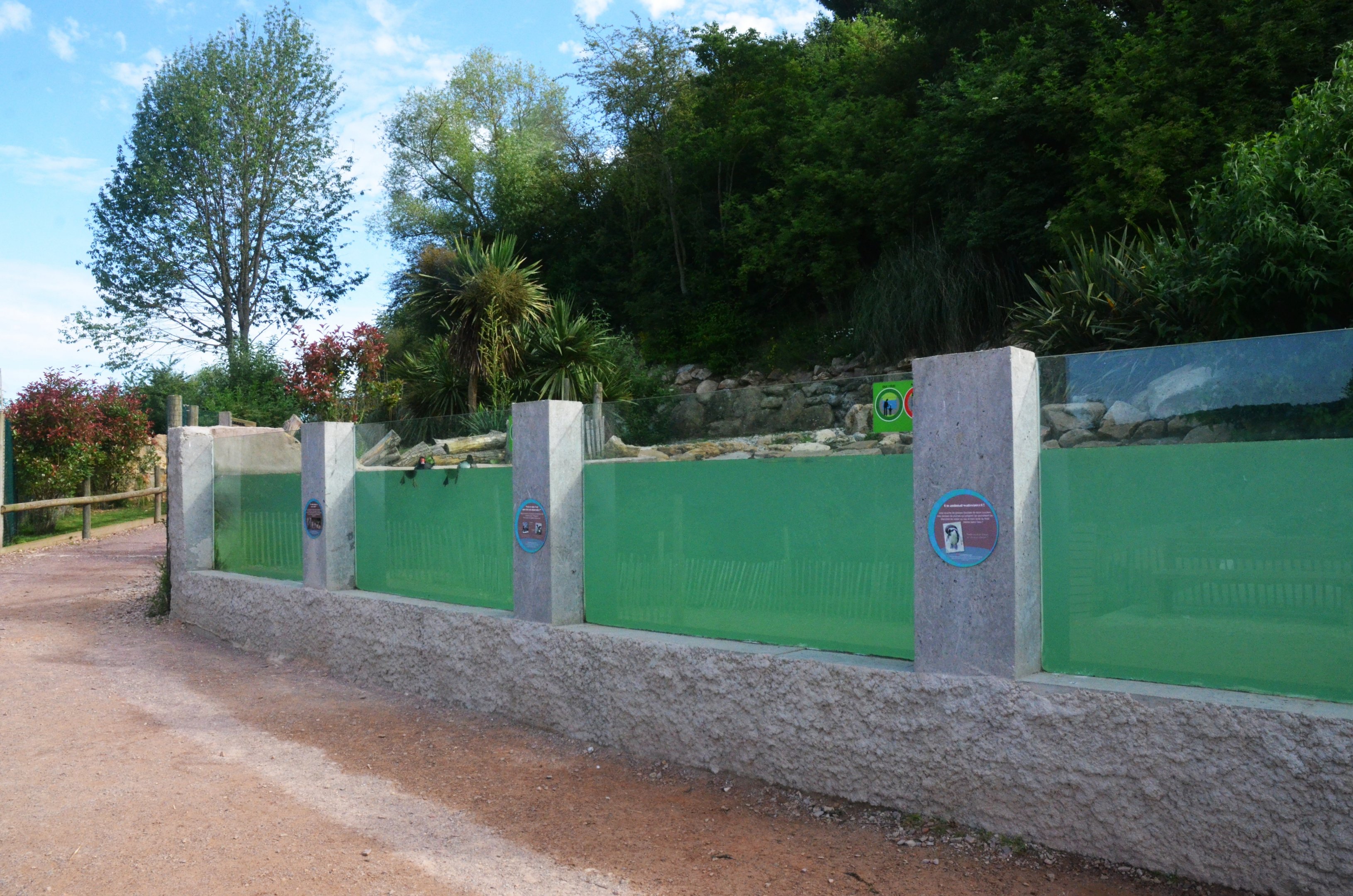 Humboldt Penguin and Rosybill Pochard Enclosure at Biotropica, 16/06/18