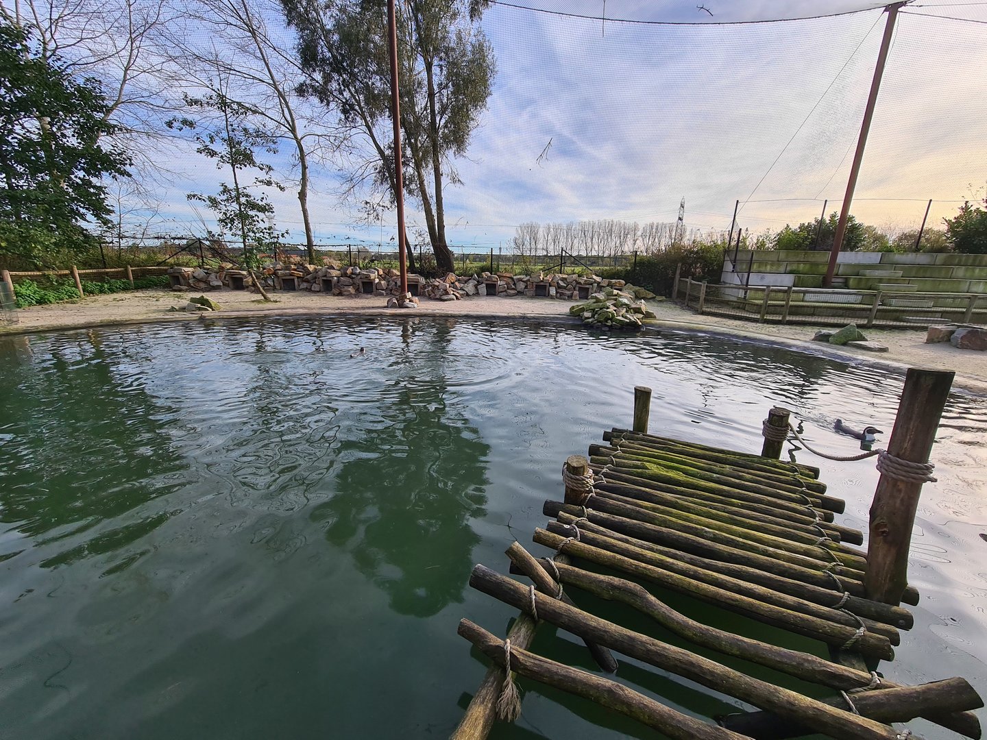 Humboldt penguin area in Vogelrijk (Realm of birds)