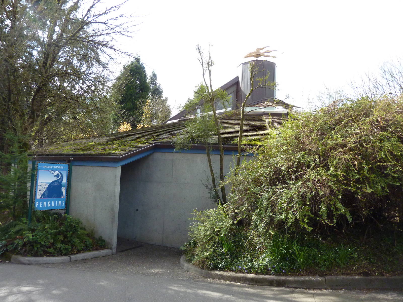 Humboldt Penguin Building