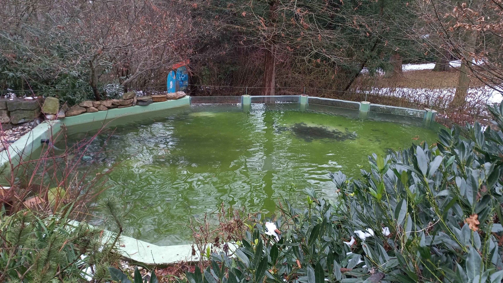 Humboldt penguin eclosure