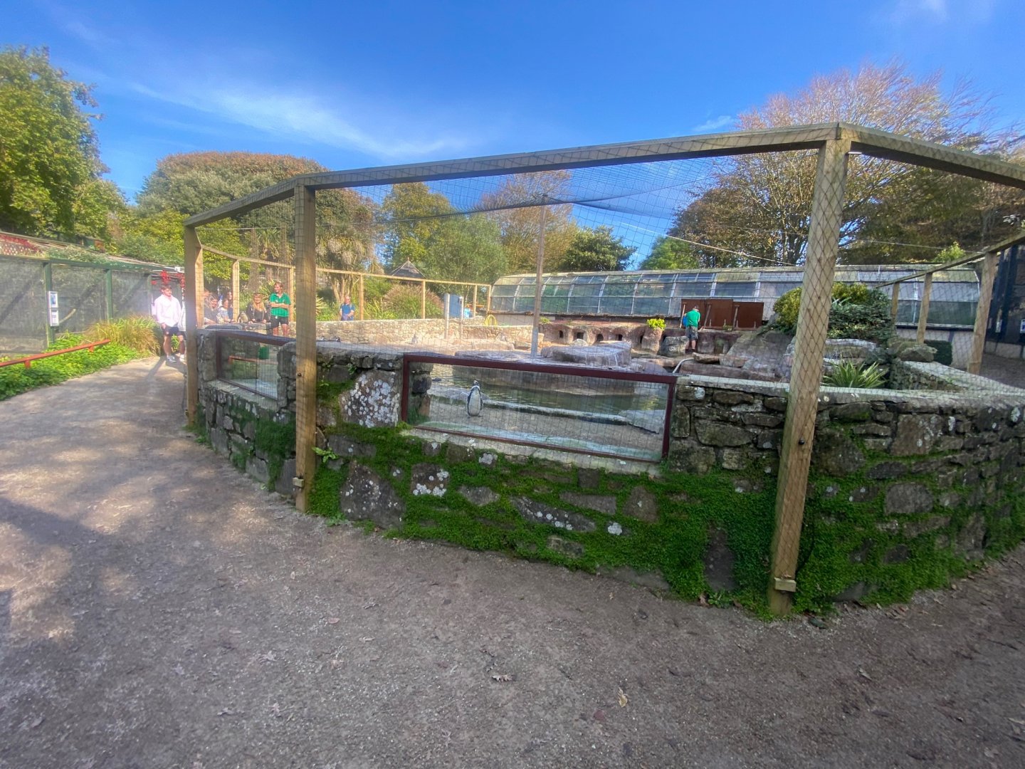 Humboldt penguin enclosure 081023