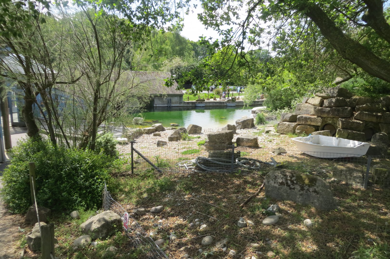 Humboldt penguin enclosure 110519