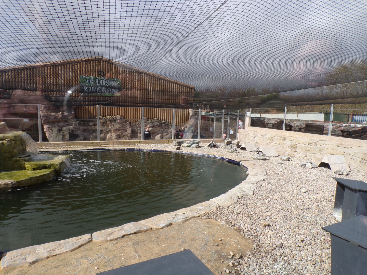 Humboldt penguin enclosure 12.4.24
