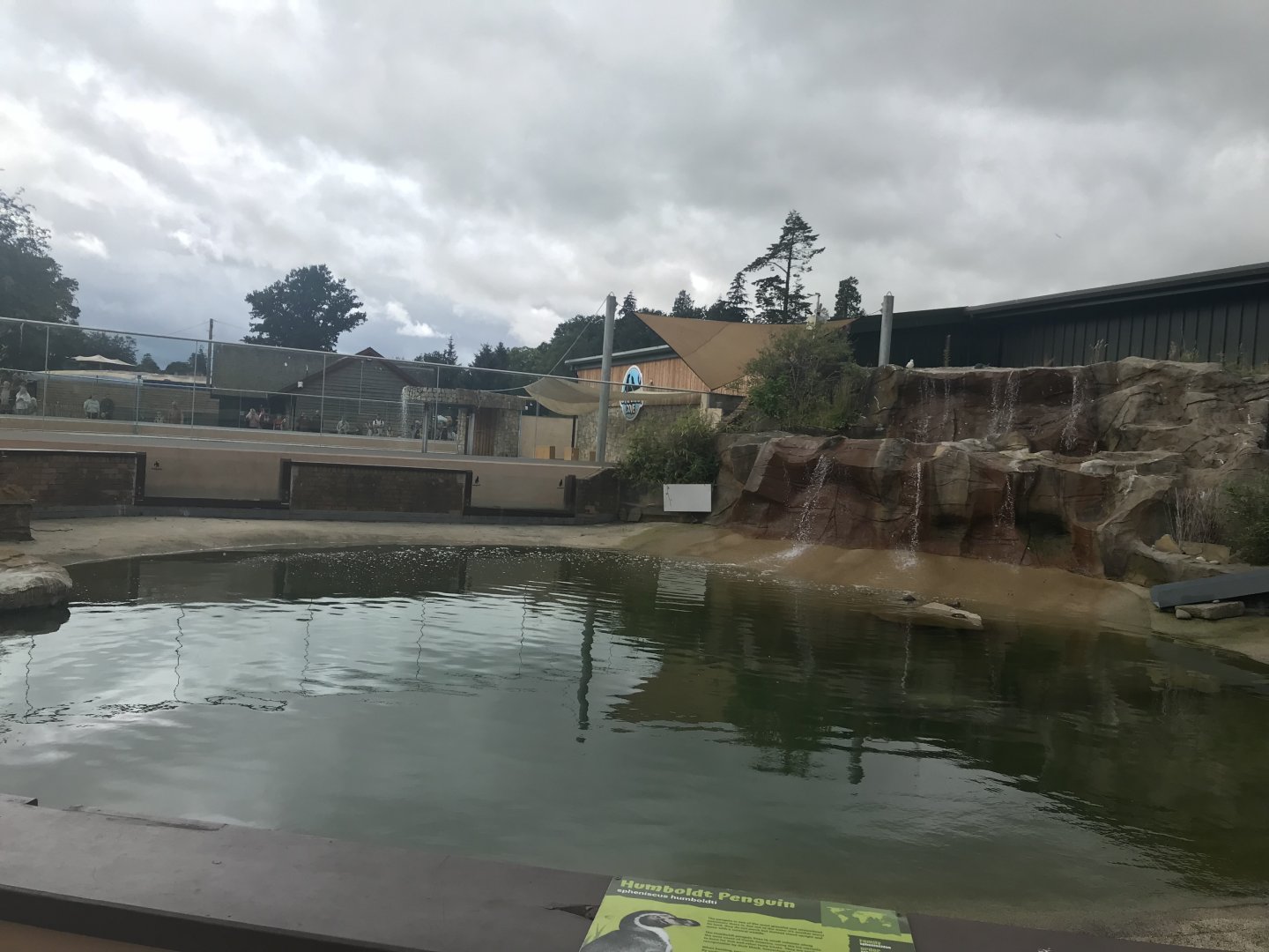 Humboldt penguin enclosure (3)