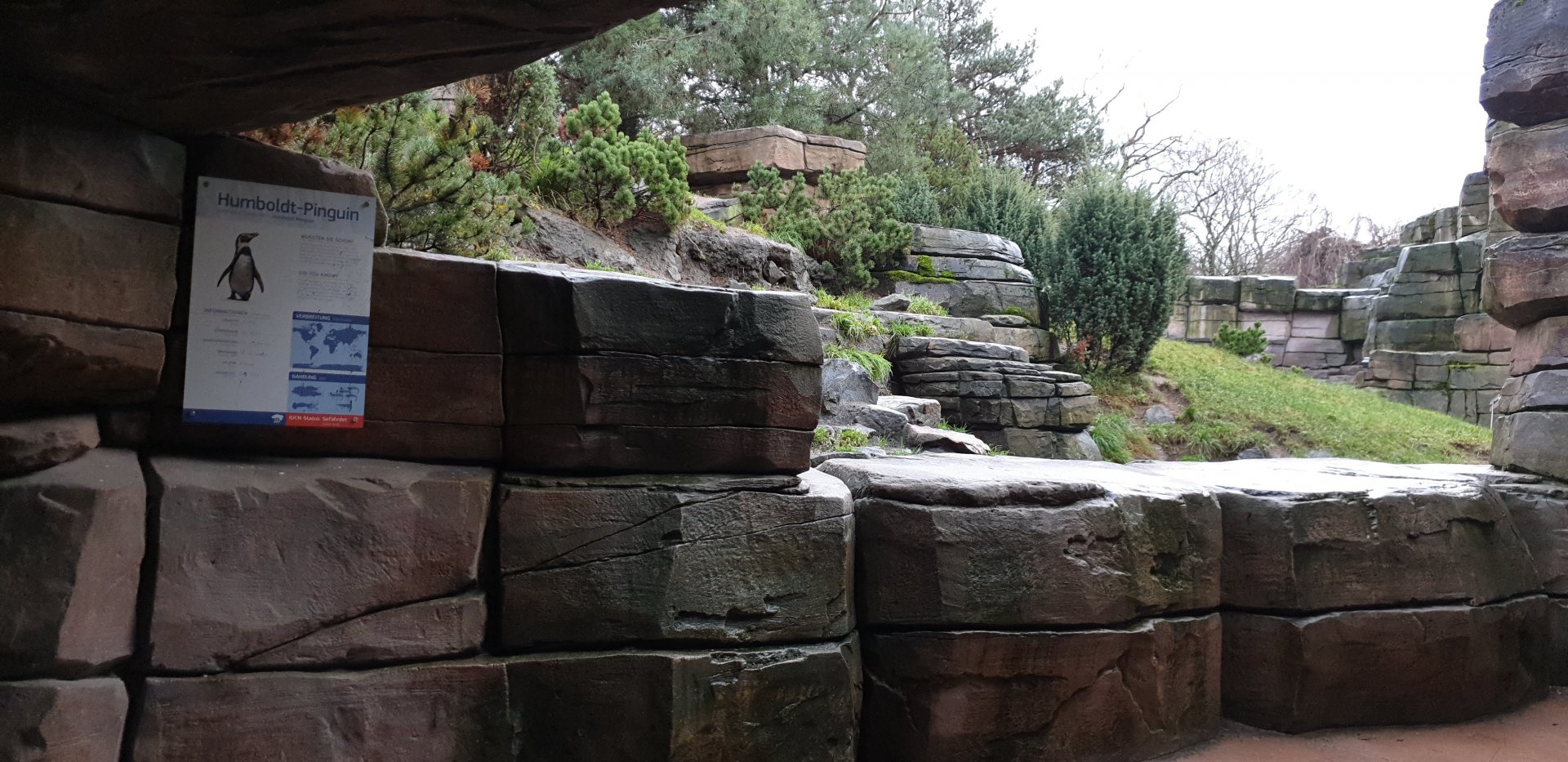 Humboldt penguin enclosure and sign