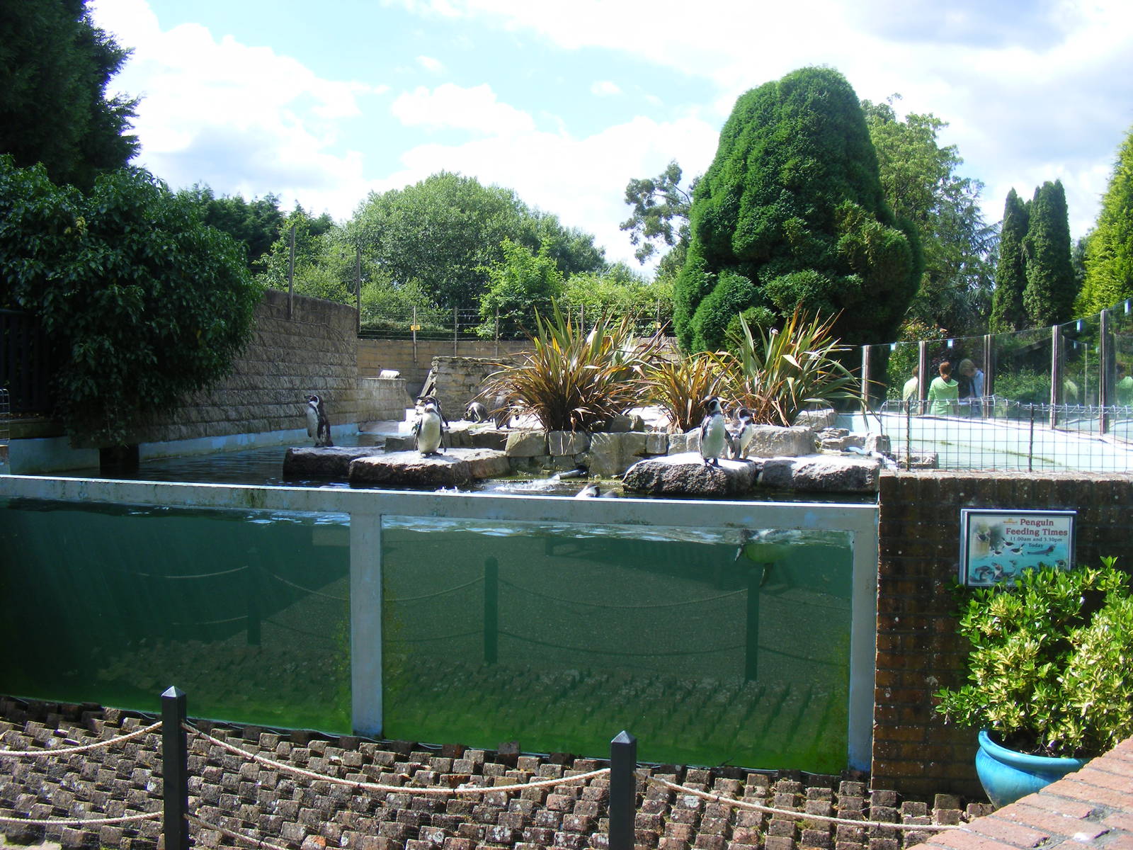 Humboldt penguin enclosure at Birdworld, 1 July 2011