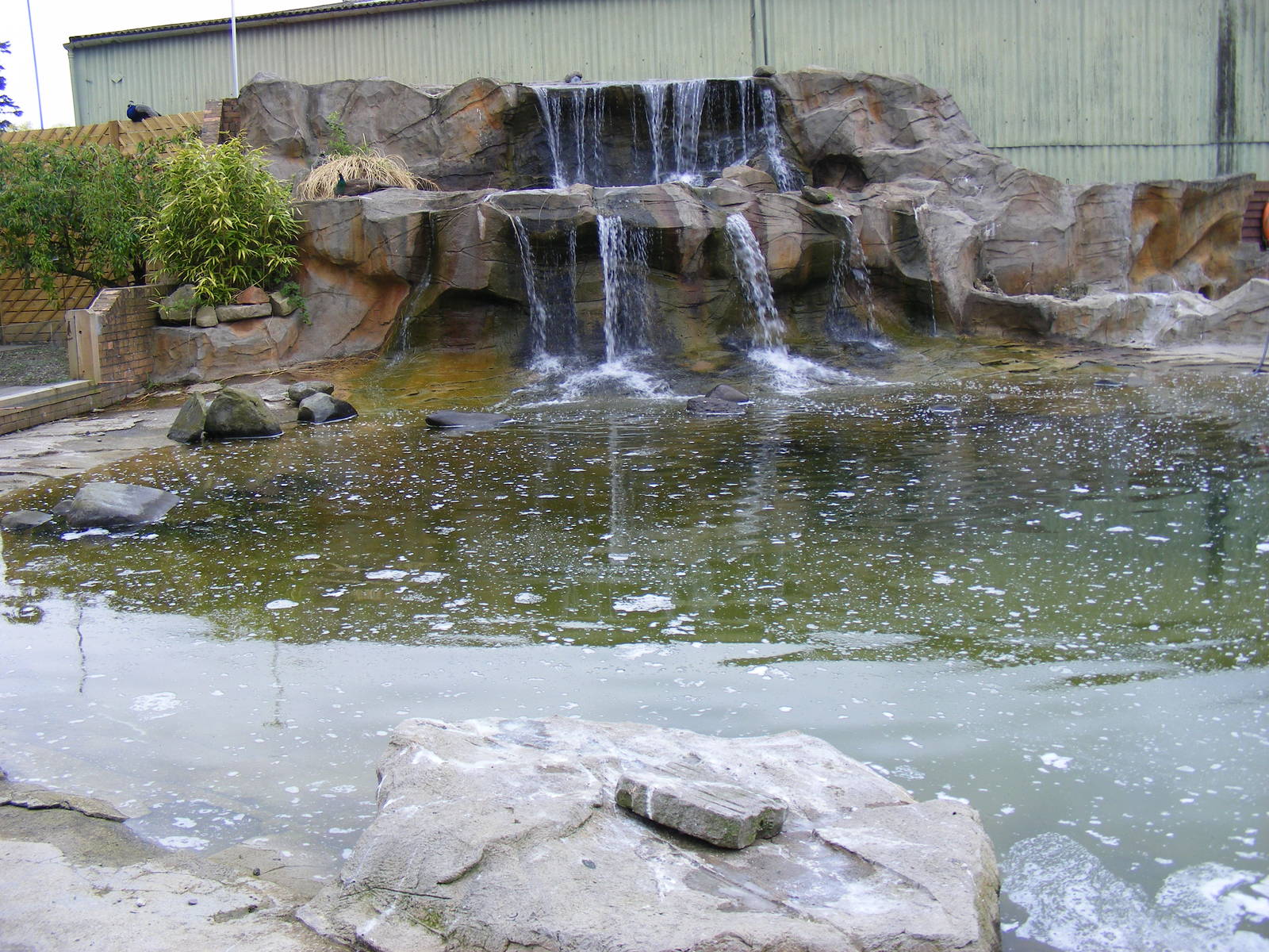 Humboldt penguin enclosure at Blair Drummond Safari Park, 19 May 2010